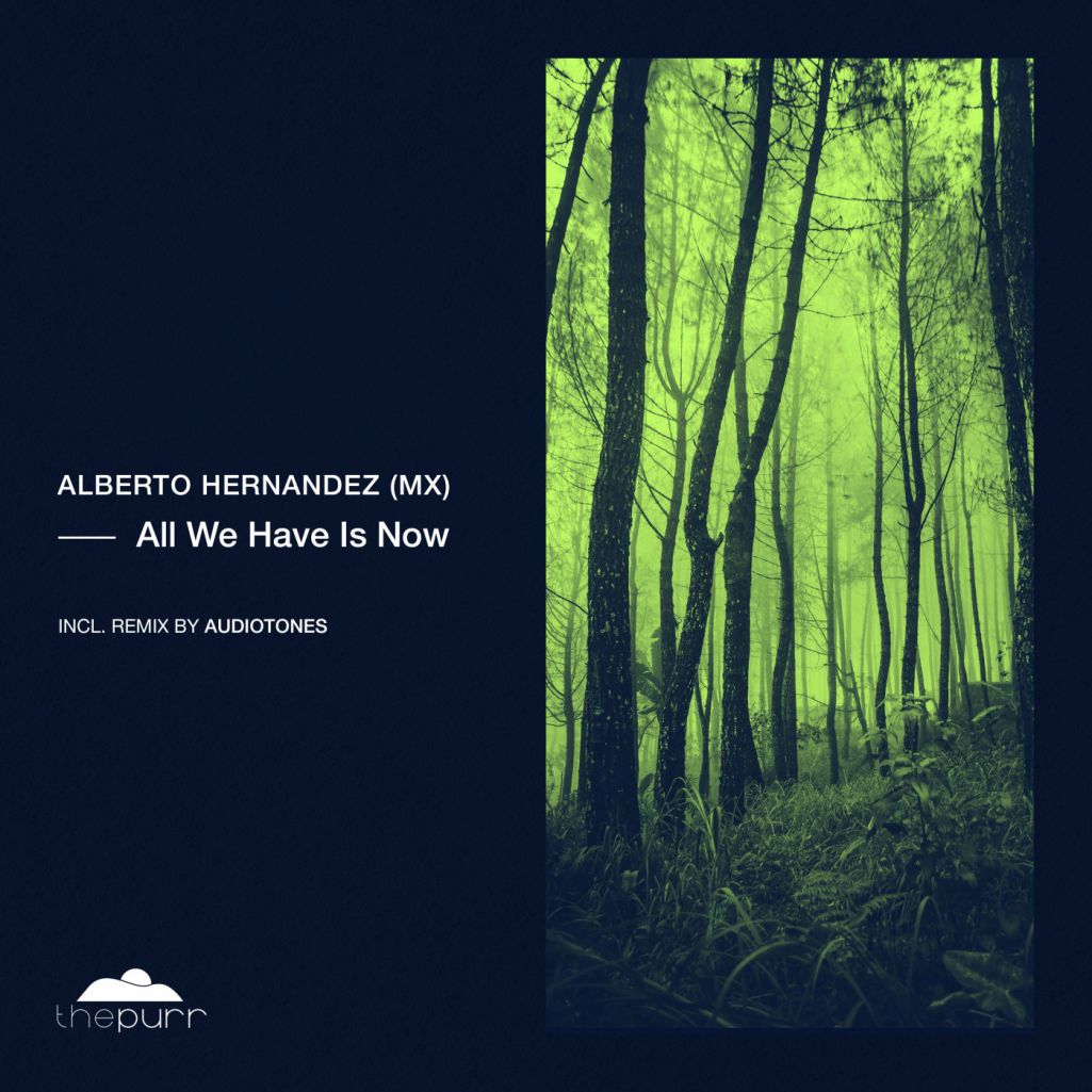 Alberto Hernandez - All We Have Is Now [PURR289]
